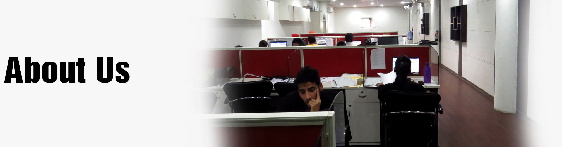 verification agencies in chandigarh